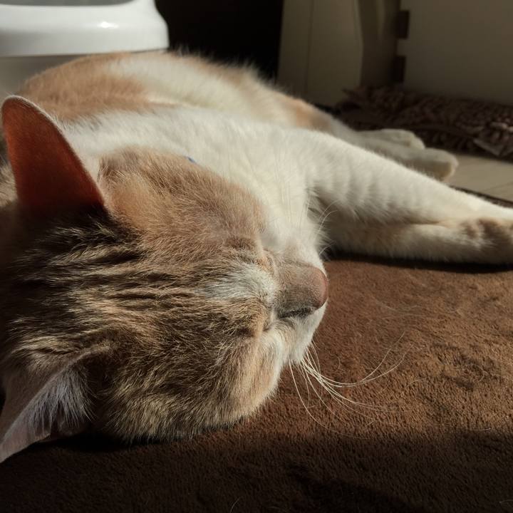 B585461c 2ecc 4617 8cf1 da3b6faecce0