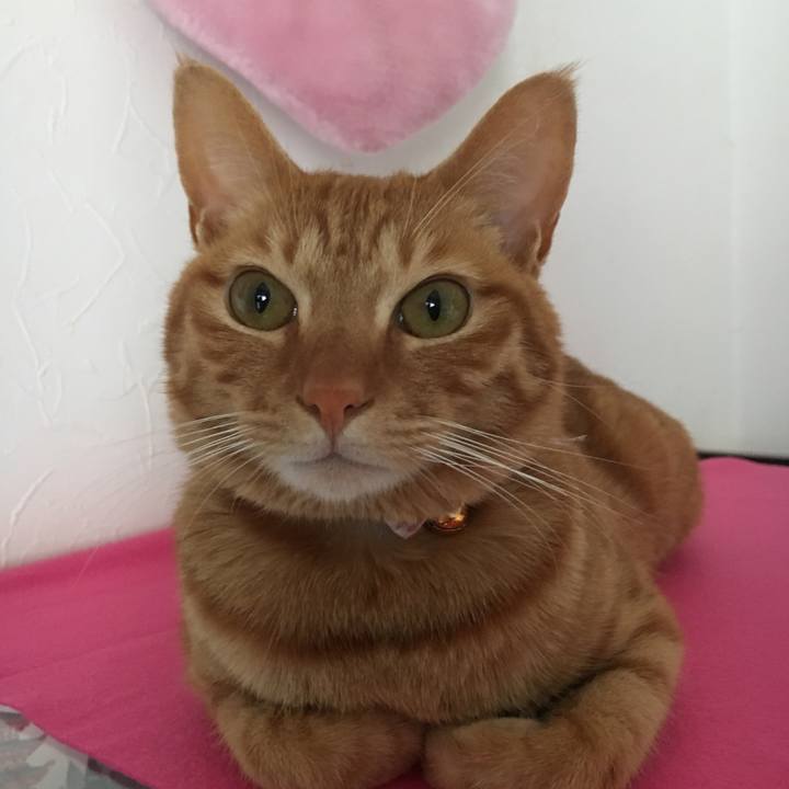 B585d432 2543 4ab6 b31e ac7cdd33ff0b