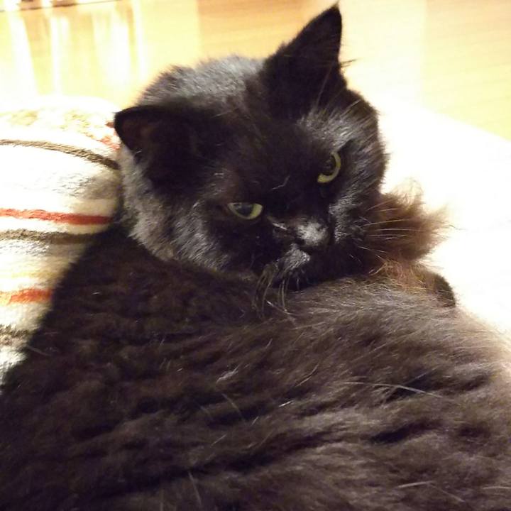 B585e30d 3c9e 4885 91f2 af7decfa5ab9