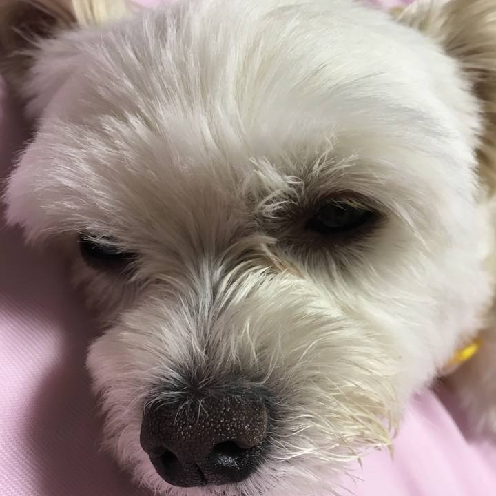 B585e4b6 7a0c 496e 9448 91093044ddcc