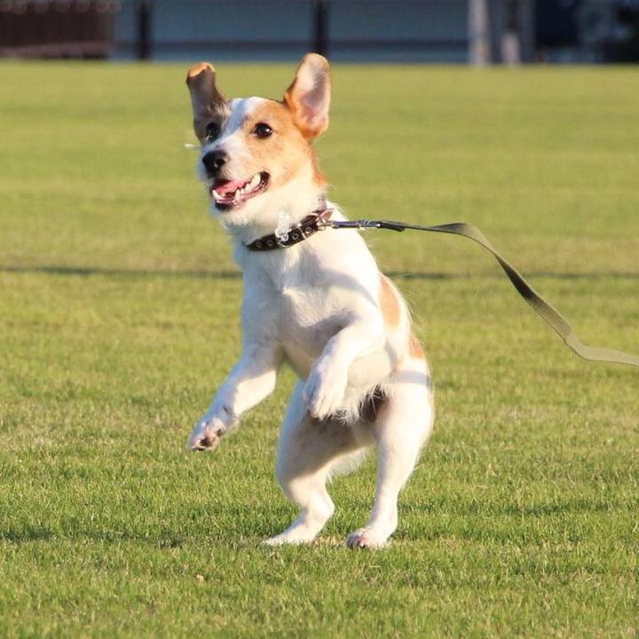 B5867f75 d27f 4fc2 9aa8 2eb4d2ccc801