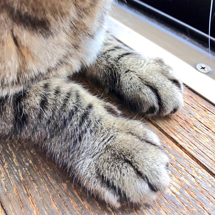 B586c7e6 3386 4dff ae59 f8b522ba3263