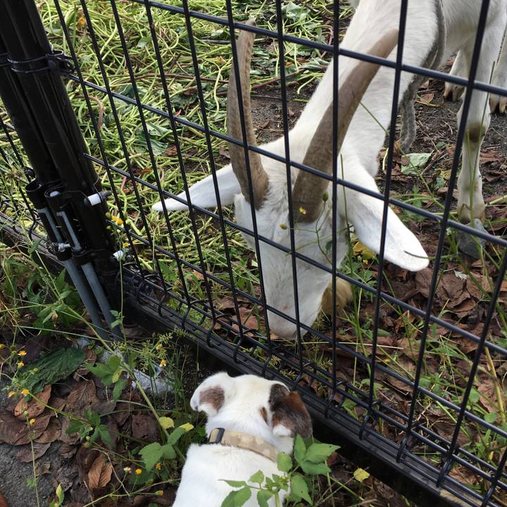 B586d2ec d1d1 473e aae2 e85abda5b74d