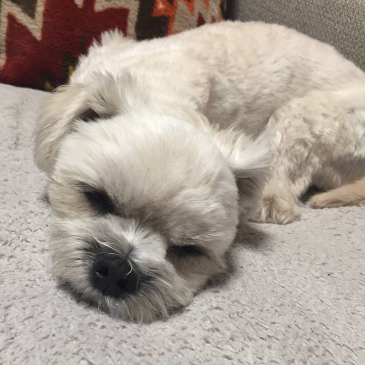 B5878fd0 e583 4d3c 88f3 77f1e550c59a