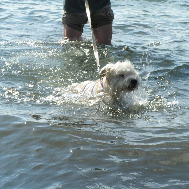 B587d726 ae14 44db a2a7 d33a64c5baf6