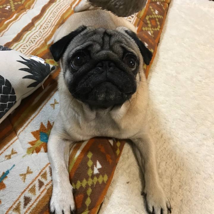 B58928ca 5803 4743 89fc c5e1b711adb1