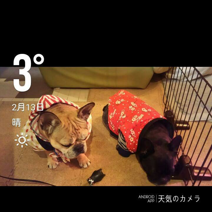 B5896e57 62ef 489c ac30 a2b3f0ddf39e