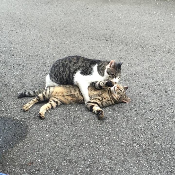 B589d98c 3137 4def 8ca3 3569ee3eb81c