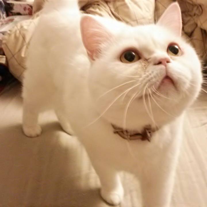 B58a2523 e8f4 4d9c a5d9 563fa58b8203