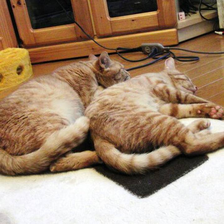 B58aea0d 9e7d 49f4 86c7 32dfefc2f32d