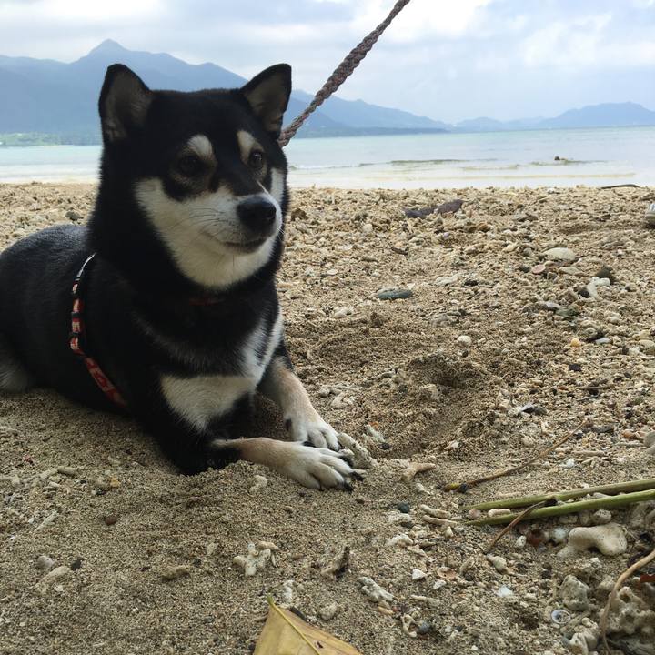 B58b0952 324e 40ae 9e4e 7dfd5caba49d