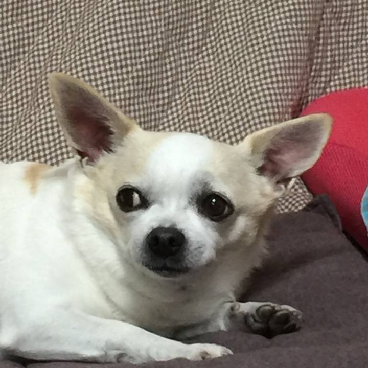 B58b451b 07a8 42e5 a078 85f4bbf20a93