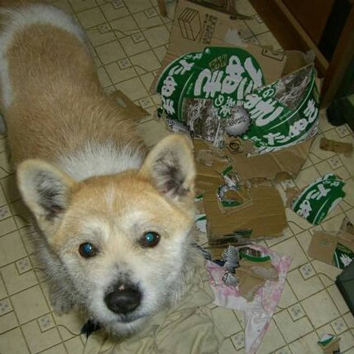 B58c2007 b87e 4385 8b30 95e0c835ab2a