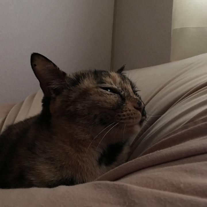 B58c6ce8 723e 45e5 8f2c b051bc77930d