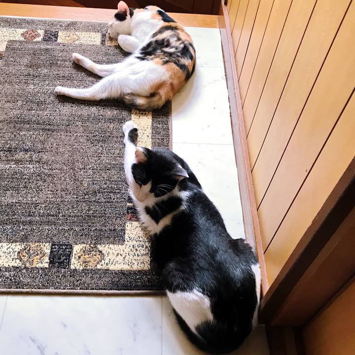 B58cb5da a1a3 4981 bdb5 f1fd0d14d0e9