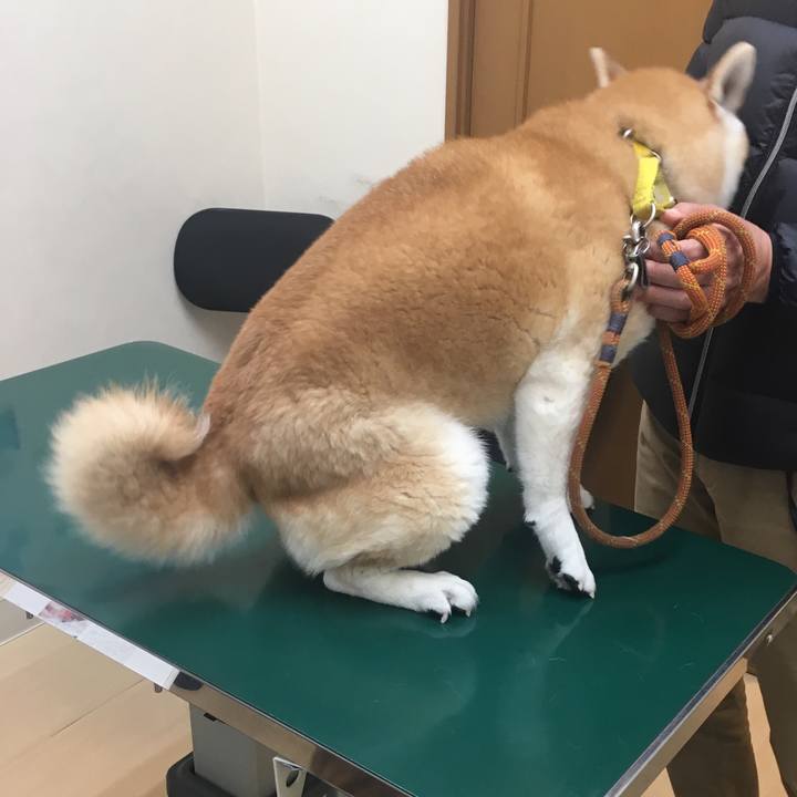 B58e1a76 a58c 47ae aa2f c7cf985c751f