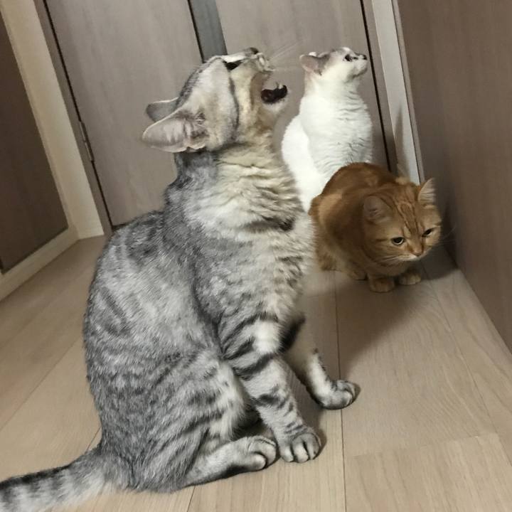 B58e2825 2d9c 4d4f 8f3e 7af4d2c2050d