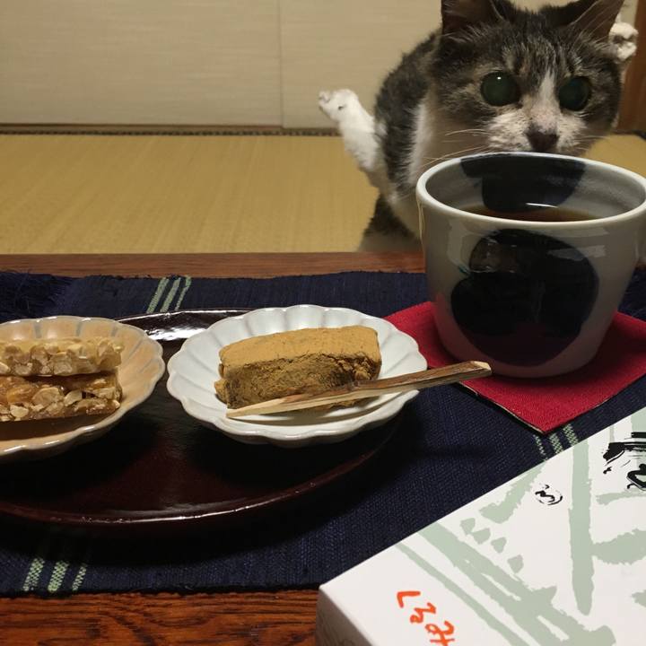 B58e6a86 a176 451c 8977 b4803a95fcb2