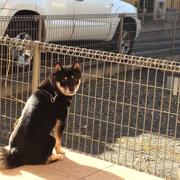 B58ef8a4 642b 4037 b0bb 818f332271ea