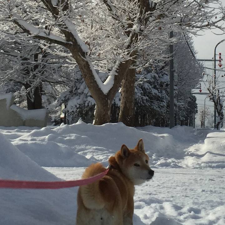 B58f2aea 37eb 46c9 b815 6c63f31b02f3