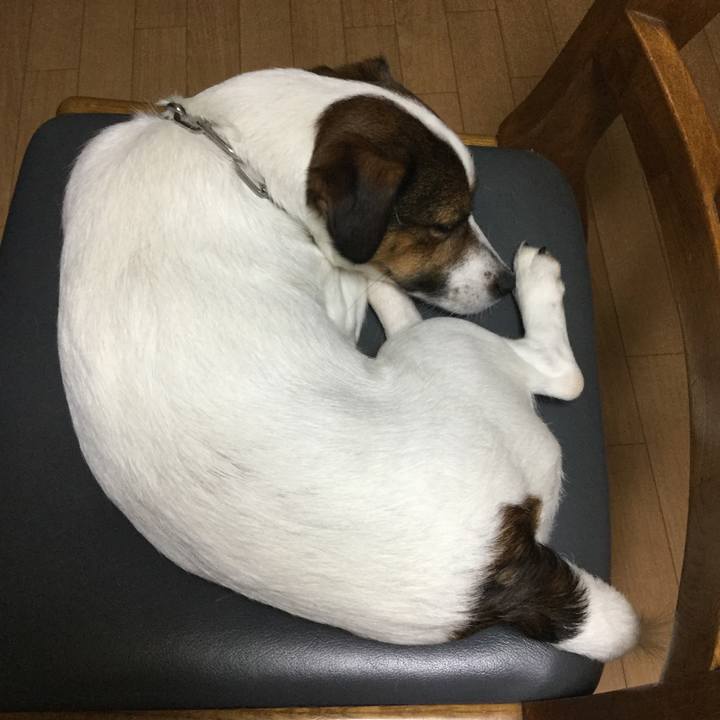 B58f83dd 3792 4d5f 80bd deee050c32fa