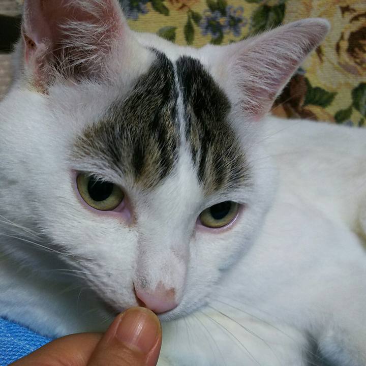 B5902233 3c76 49bf aff5 e7d74f2fb27f