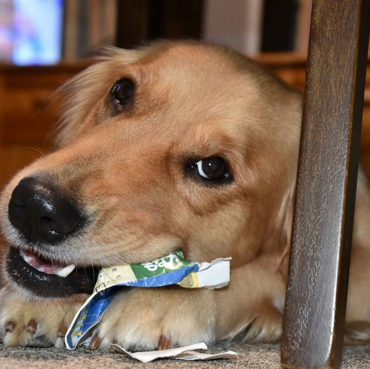 B59055f4 c7ab 4519 9a92 0a9eee9c6357