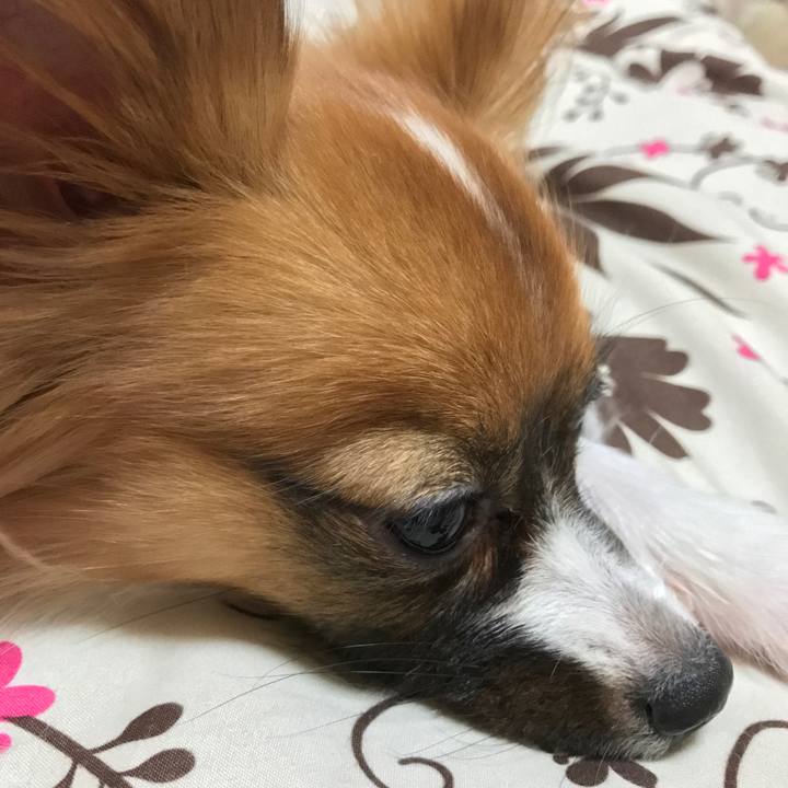 B5905889 062c 44c6 89d3 fd30e8944569