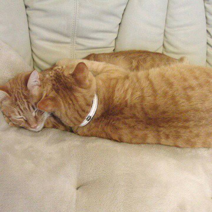 B5905e15 c94f 4eda 98ce 565a9d982cff