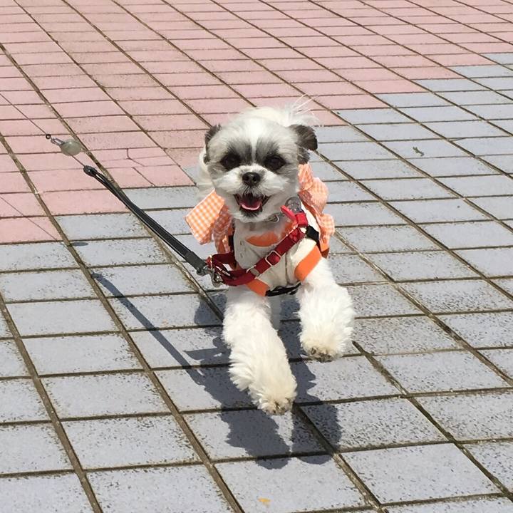 B5908474 c141 4fc0 819d 8ec848b6b8f9