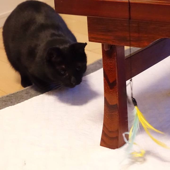 B59130ce 955e 4000 800c dd8e6e97bc7c