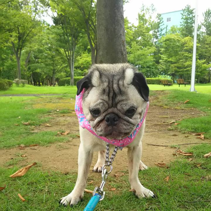 B5914396 2959 4455 b55e 6d84b8ef59d9