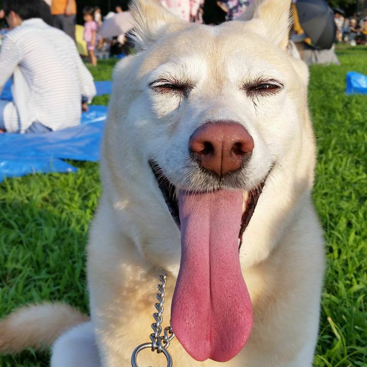 B591c7dd 0064 4876 989f 412e77966815