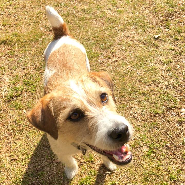 B5920ca3 3f84 4457 a1d9 e4d29b95726c