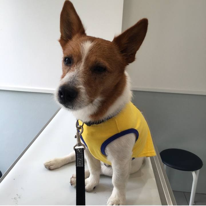 B5925f77 57a2 4170 bbdd d881ef632eb1