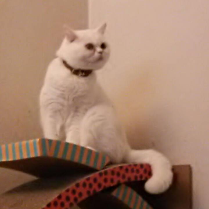 B592afe6 d986 4a99 a761 c7efa1a1ca52