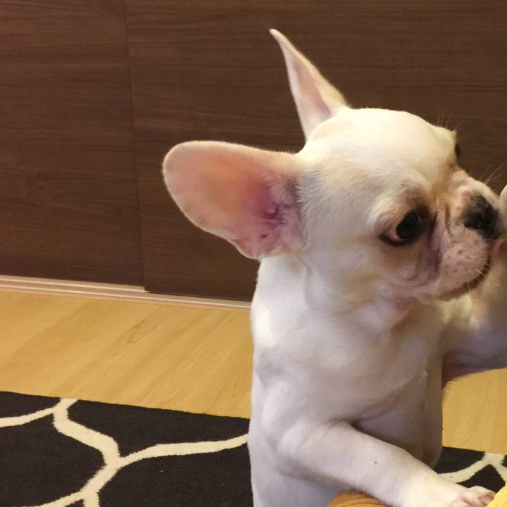 B592f61c 14b8 4234 8045 6ee05aeb2530