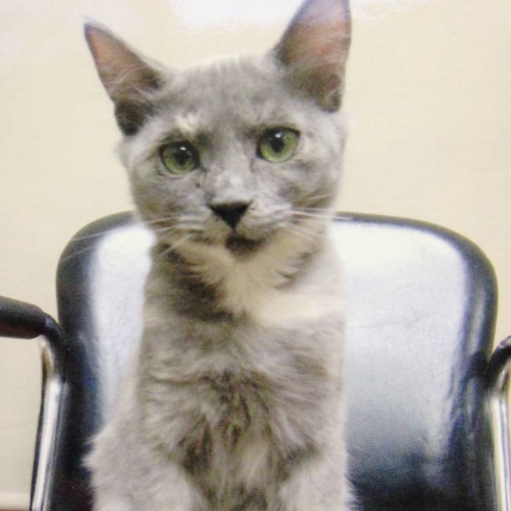 B594dfbe acec 4a4e b00a 025d9c7b21a6