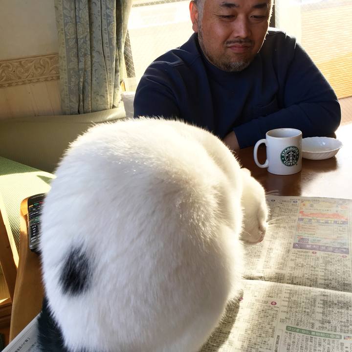 B594f64d e114 483b 889f 2f981b9f0b0b