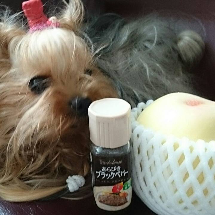 B59581b5 1d06 4145 9d5f 636de4f56208