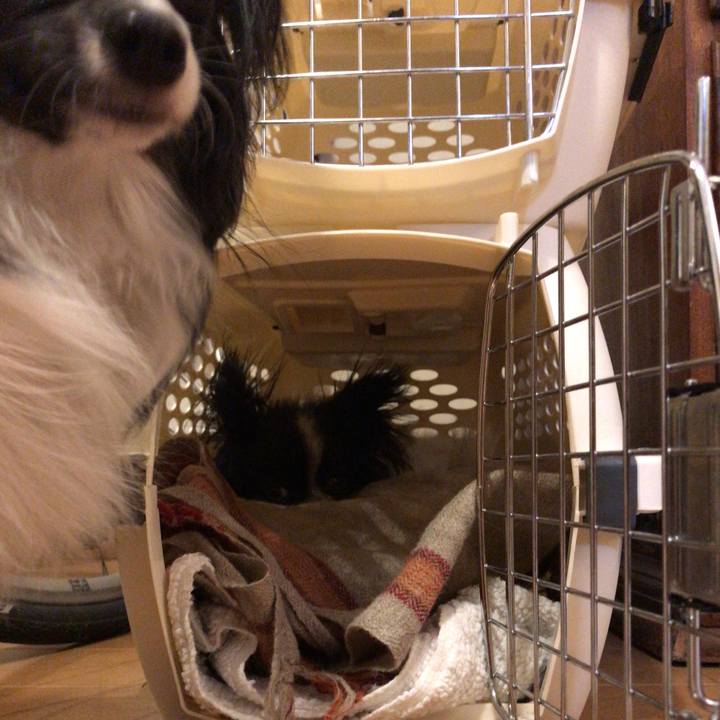 B5959f6e da5c 4bd0 b0a9 01aed39ba695