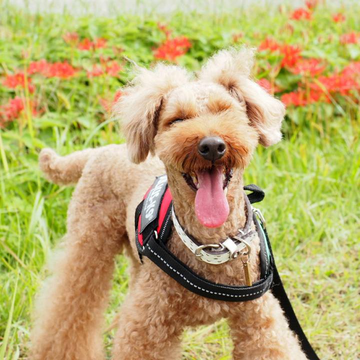 B595b16e f468 46f4 973f b690064f4374