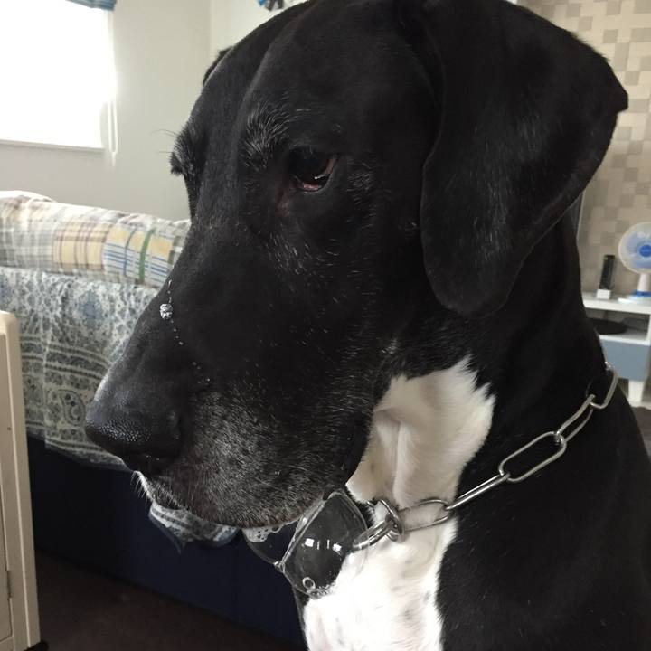 B595b1d9 3f43 48a9 9ea0 ca3606e08310