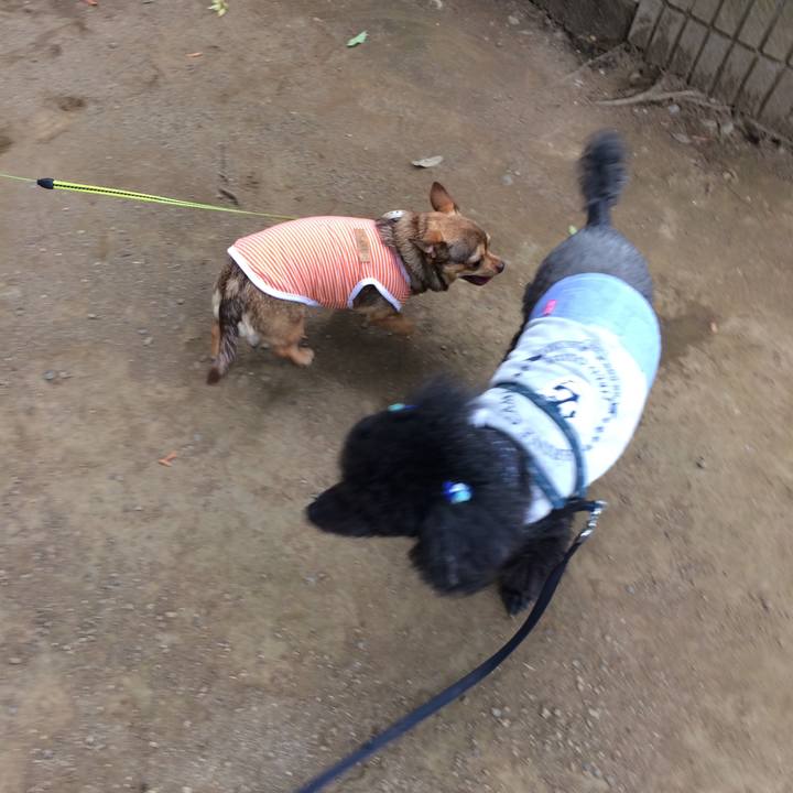 B595f256 48c6 4d09 879d 541541aa6710