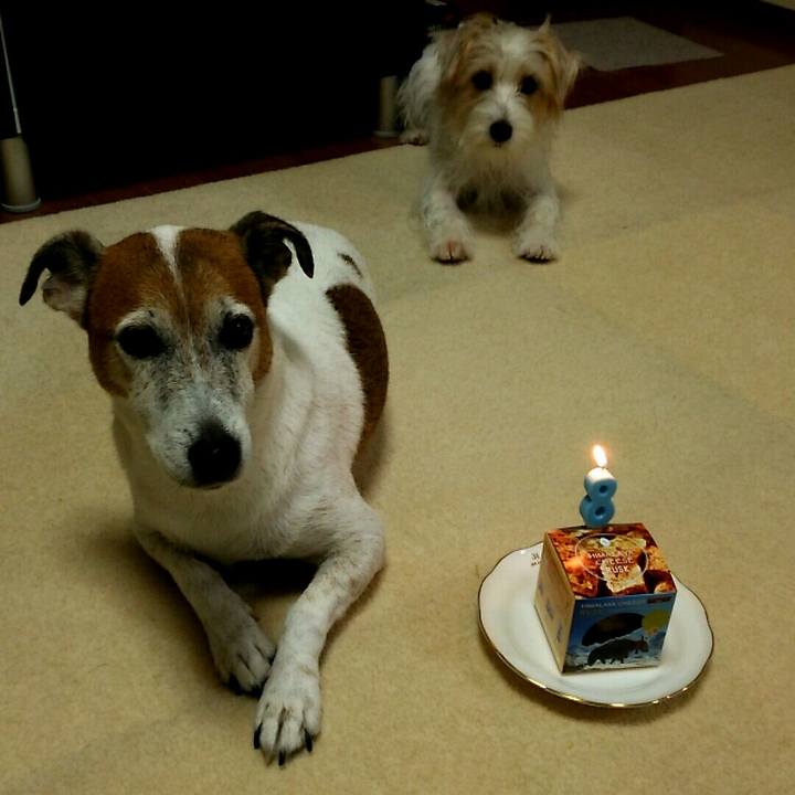 B59626e9 37ad 4608 acf2 642b39a7b192