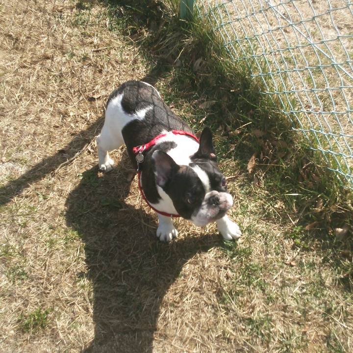 B5963608 452d 47cc 9c6f 9b8a2ab9a9cc