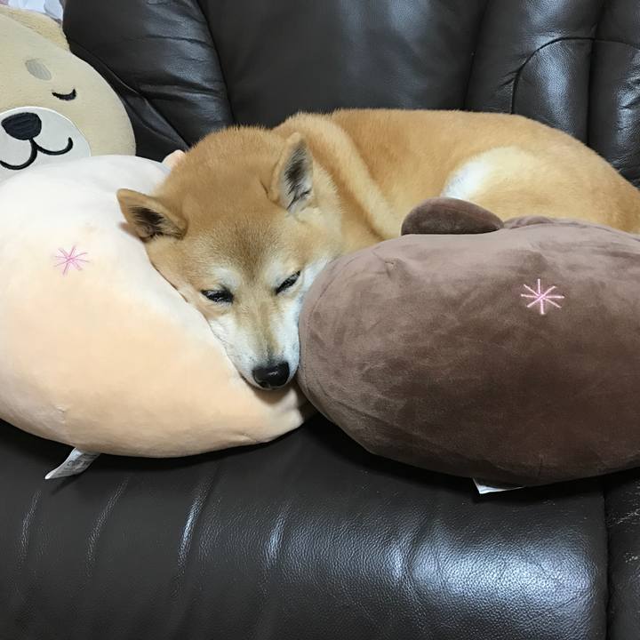 B59695a1 e194 4b95 ae8d 07b0d6c44935