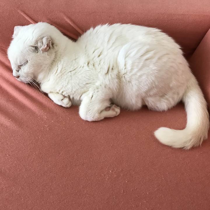 B596a134 c1d7 4438 9ad4 6661d2018a1c