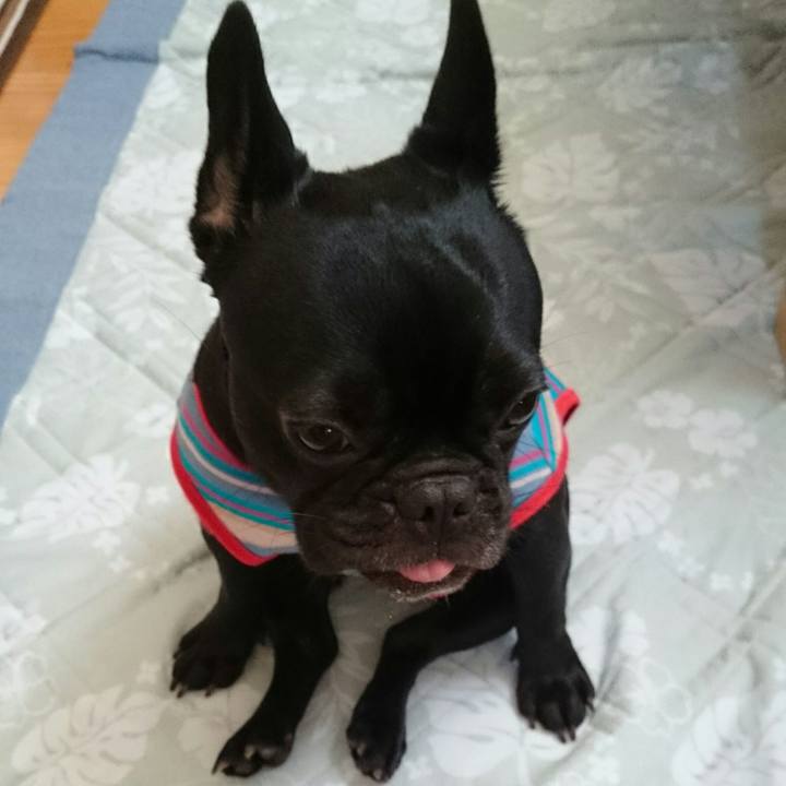 B596cb45 a86d 4372 9484 b685063a10a2