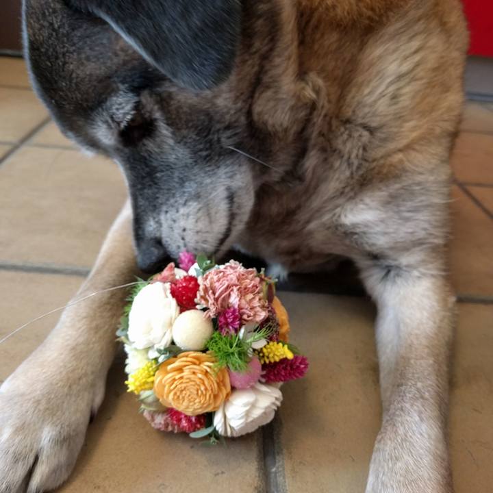 B596e0c4 4e05 4ed1 ba4f 7a9c2e24af0c